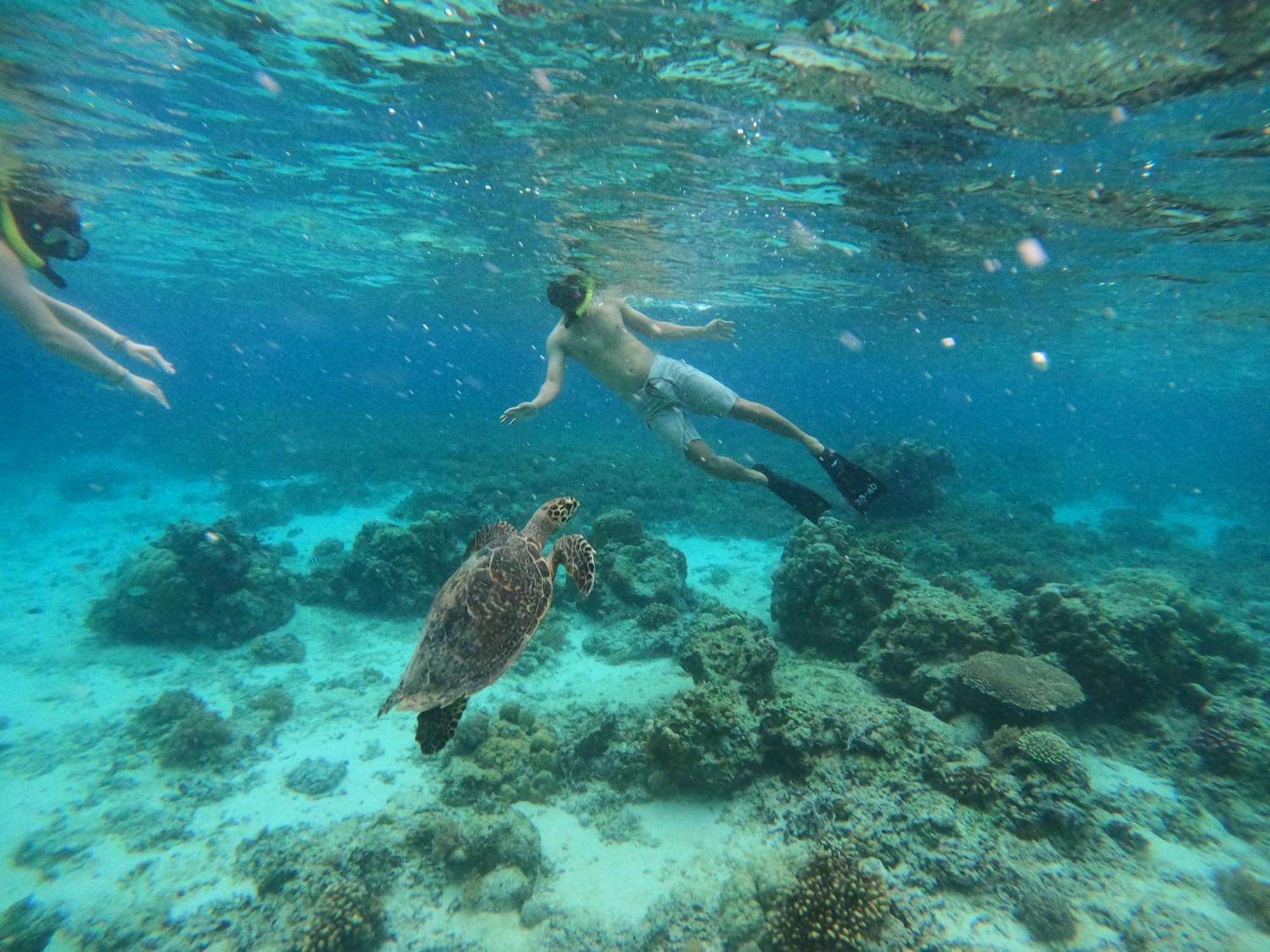 Maringo Cottage Gili Trawangan Bagian luar foto